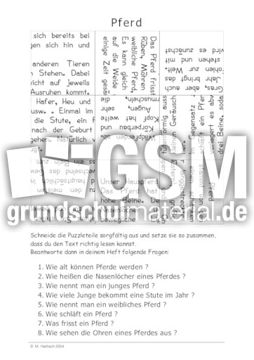 Pferd.pdf